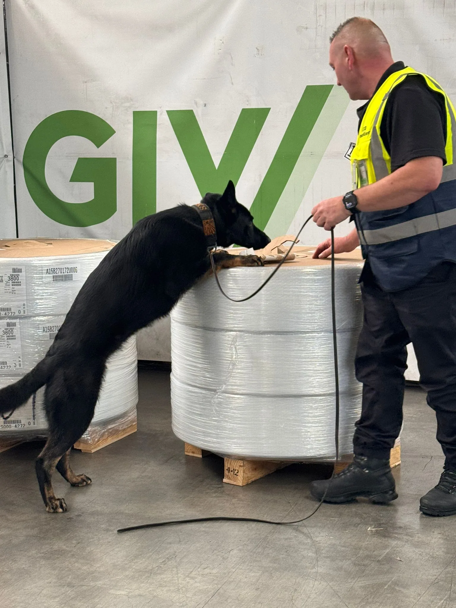EDD-Hundestaffel bei der Luftfrachtkontrolle